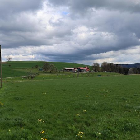 Ferienwohnung Hippenhof Hohenfels  Dış mekan fotoğraf