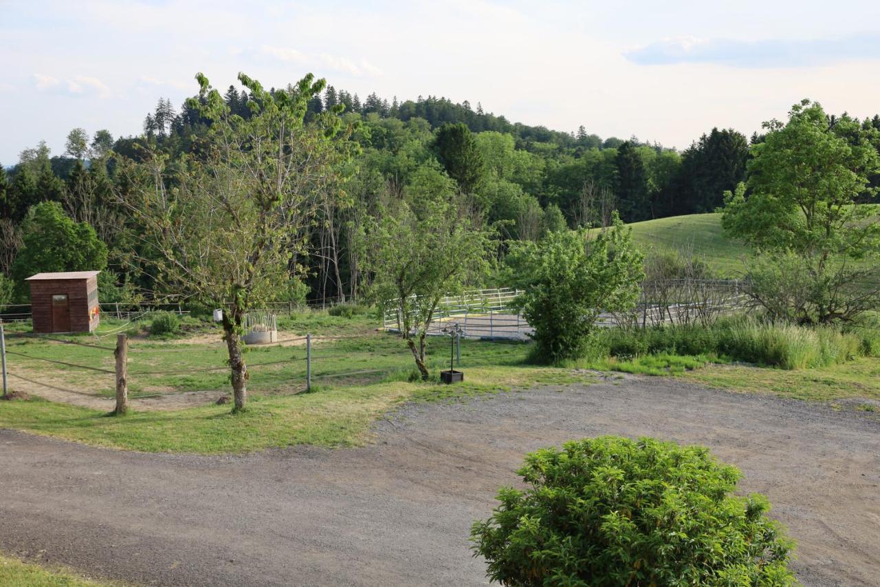 Ferienwohnung Hippenhof Hohenfels  Dış mekan fotoğraf