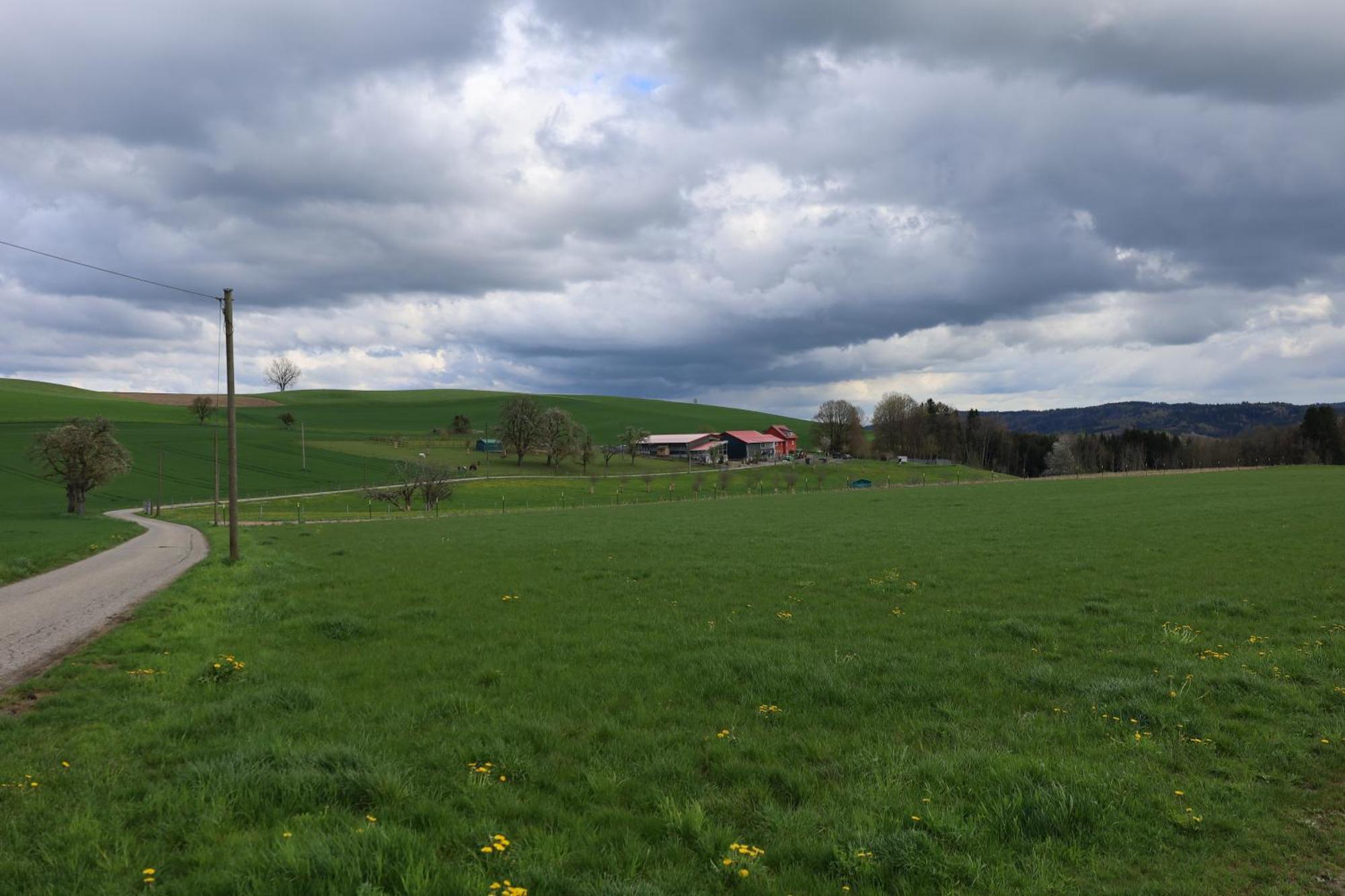 Ferienwohnung Hippenhof Hohenfels  Dış mekan fotoğraf