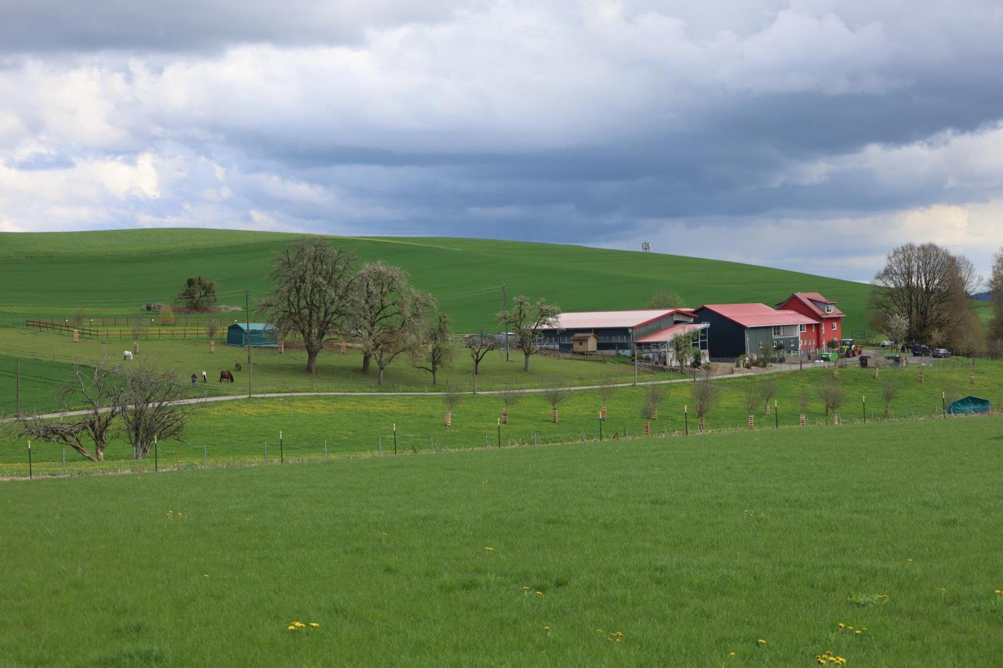 Ferienwohnung Hippenhof Hohenfels  Dış mekan fotoğraf