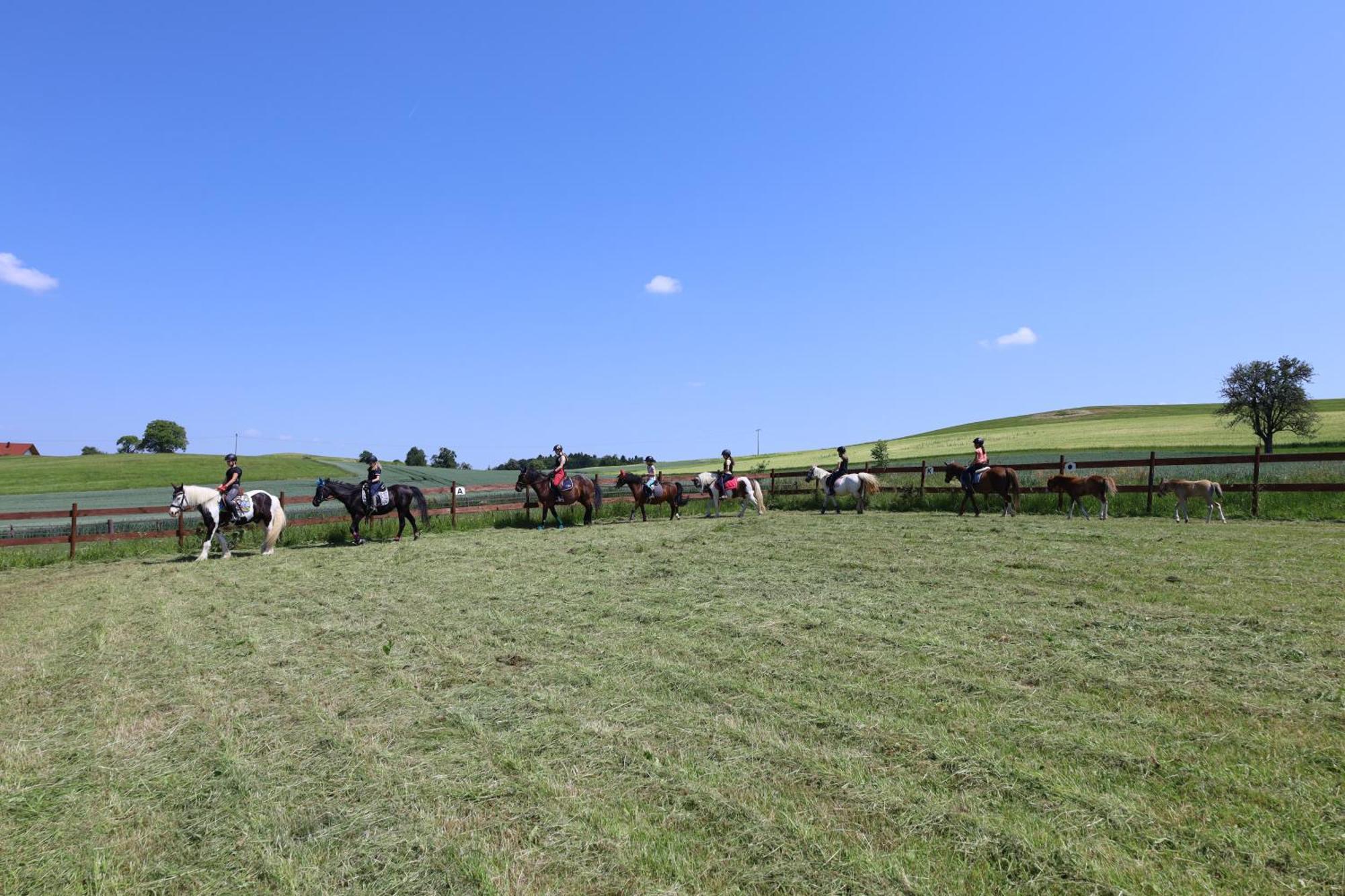 Ferienwohnung Hippenhof Hohenfels  Dış mekan fotoğraf